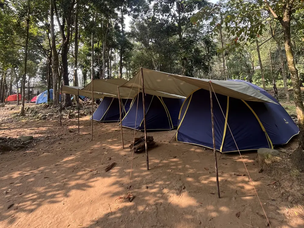 Tenda dome biru beratap flysheet berjajar di bawah rindang pepohonan